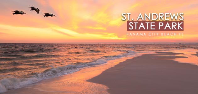 Why You Should Visit St Andrews State Park In Panama City Beach